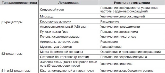 Бета-блокаторы: список препаратов. Сайт о лечении гипертонии. Учим, как снизить давление до нормы