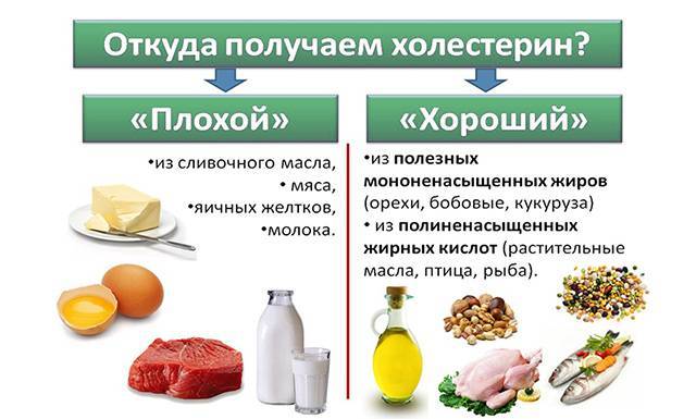 Продукты повышающие холестерин в крови у женщин и у мужчин