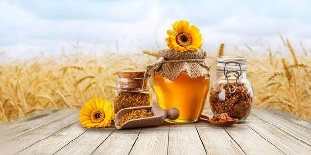 Лучшие продукты и травы для разжижения крови