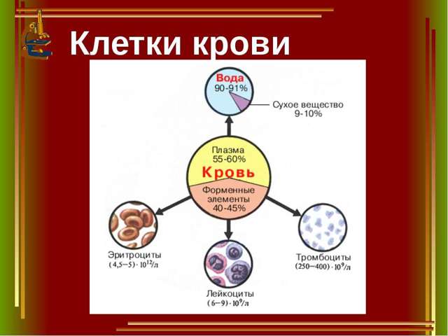 Что делать, если густая кровь при беременности? - Здоровая кровь