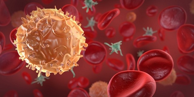 Эозинофилы в крови у ребенка: причины, симптомы, диагностика