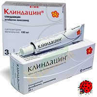 Клиндацин (крем, свечи): инструкция - Сыпи(высыпания)