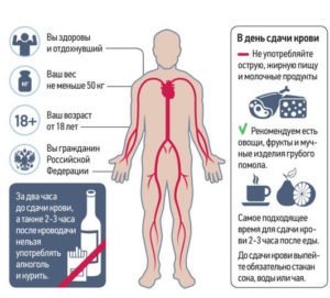 Донорство крови: как стать донором, польза и вред, как часто можно сдавать