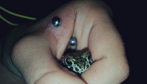 Консультации онлайн. Из какого пальца брать кровь на сахар для глюкометра