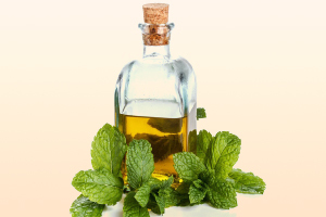 Лечение экстрасистолии в домашних условиях народными средствами - как вылечить