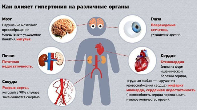 Норма артериального давления у взрослых: таблица по возрастам - ПроЗдоровье