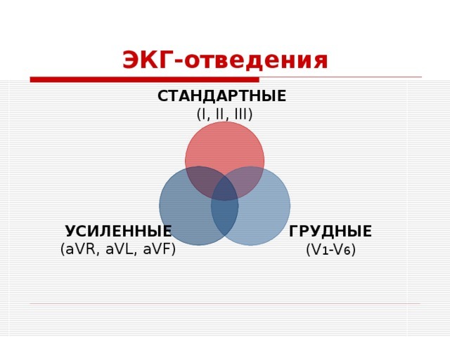 Расшифровка ЭКГ в норме и при патологии. Уроки по ЭКГ с видео