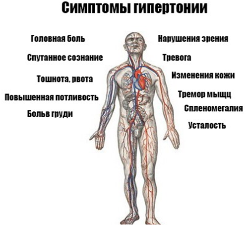 При расширении сосудов давление повышается или понижается? - БолезнейНет