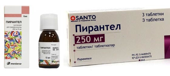Аскариды: симптомы и лечение у взрослых и детей, препараты от аскаридоза