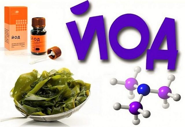 Лечение гипертонии йодом (по индийскому методу)