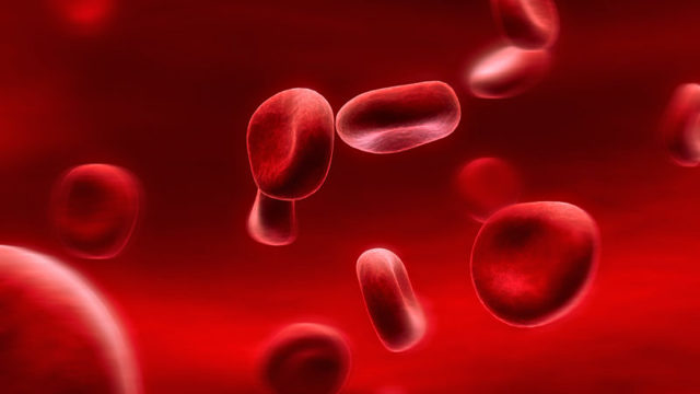 Совместимость групп крови для зачатия ребенка. Анализ крови на совместимость партнеров для зачатия — Беременность. Беременность по неделям.