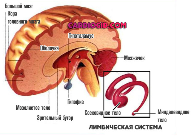 Чем опасно низкое давление