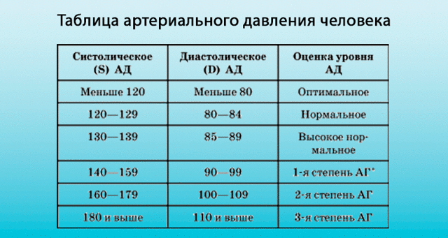 Что такое систола и диастола. Чем отличается систолическое давление от диастолического