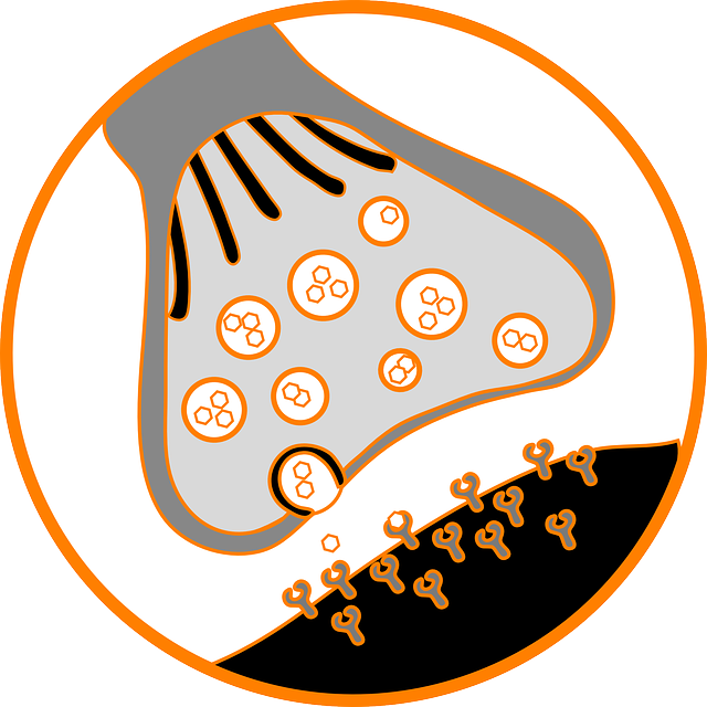 Стрезам: инструкция по применению и для чего он нужен, цена, отзывы, аналоги