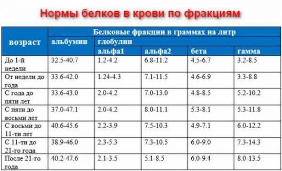 Общий белок в крови - норма