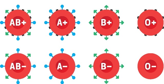 Редкая кровь какая