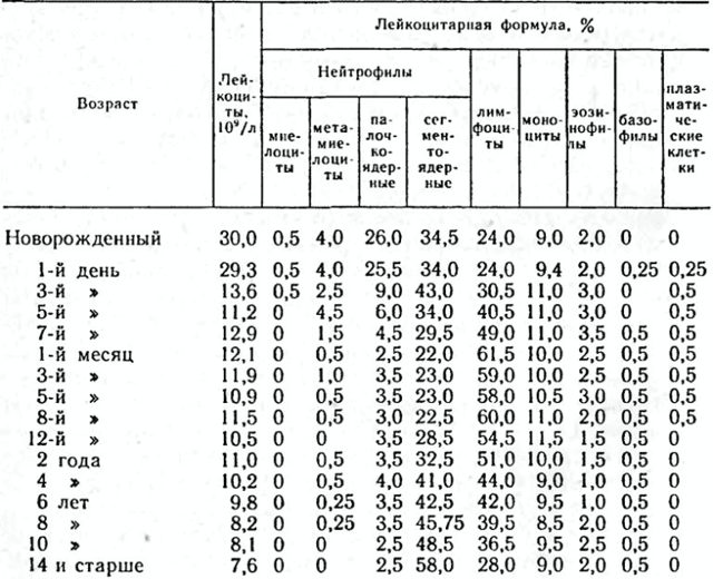 Общий анализ крови - лейкоциты: норма и причины отклонения от нормы