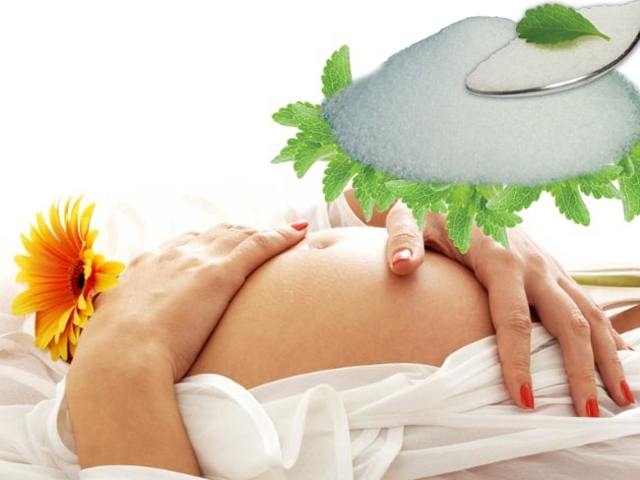 Стевия - польза и вред для похудения, при беременности