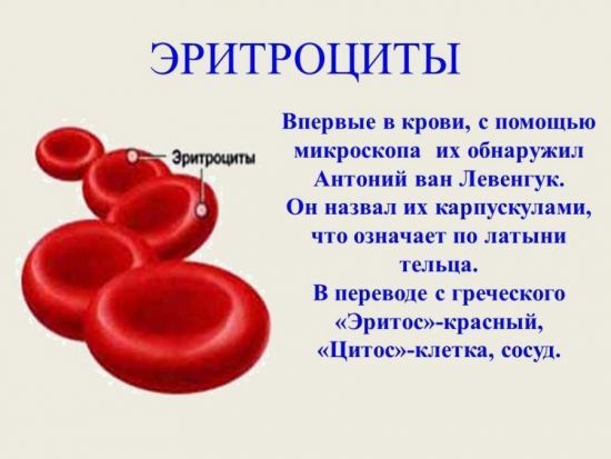 Анализ эритроцитов в крови человека. Норма и патологии