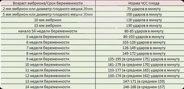 Когда начинает биться сердце у плода