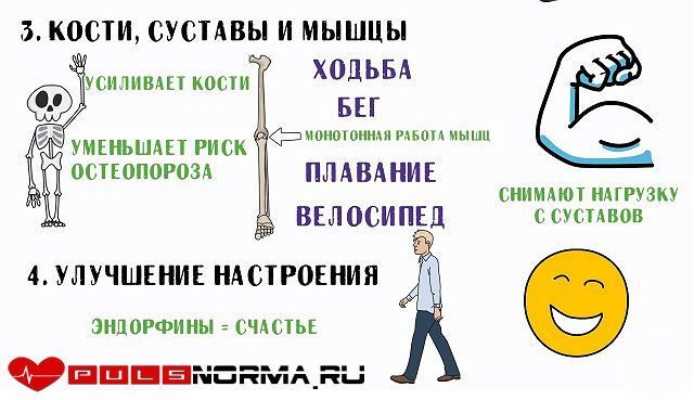 Пульс при ходьбе: норма у мужчин и женщин