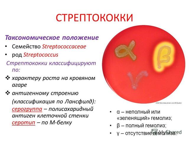 Абсцесс головного мозга - симптомы, лечение, причины, прогноз