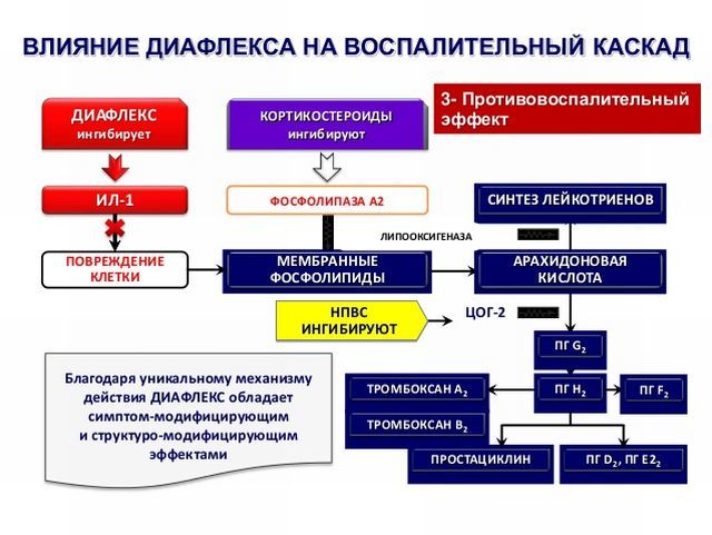 Диафлекс — инструкция по применению, цена, действие