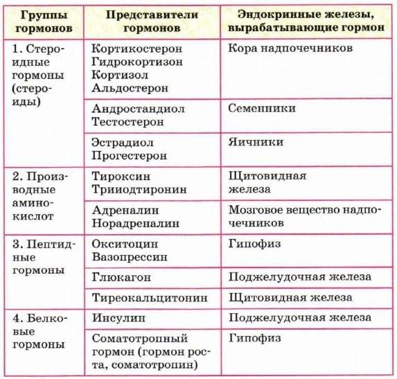 Виды анализов крови на гормоны: какой анализ сдать и когда?