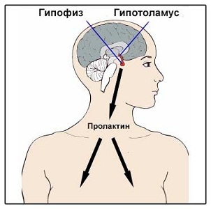 Месячные начались и сразу закончились — что это?