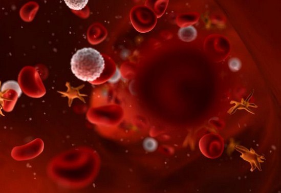 Что означает pdw в анализе крови и методы расшифровки