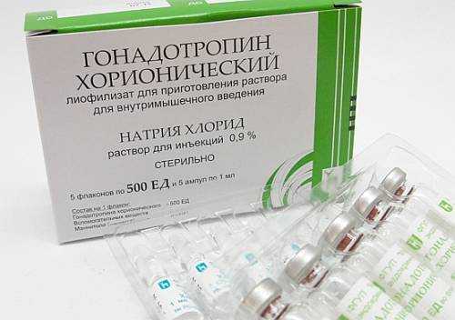 Анализ крови на ХГЧ: что это такое, когда сдавать