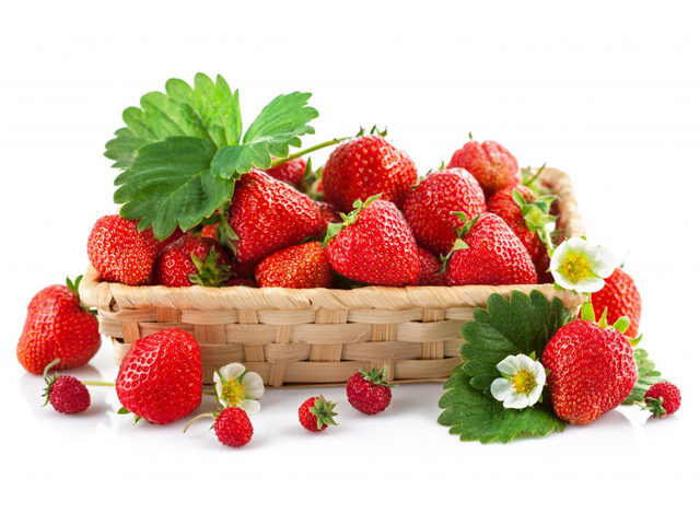 Топ-10 продуктов для здоровья кожи. Как омолодить кожу лица