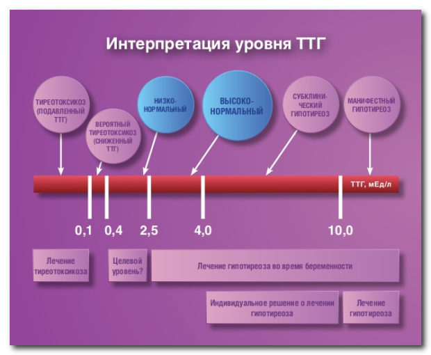 Норма ттг у женщин (таблица норм ттг по возрасту)