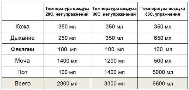 Что пить во время тренировки, что пить перед тренировкой