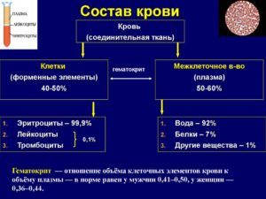 Общий билирубин 23 — Лечим печень