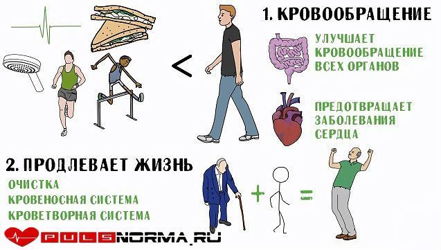 Пульс при ходьбе: норма у мужчин и женщин