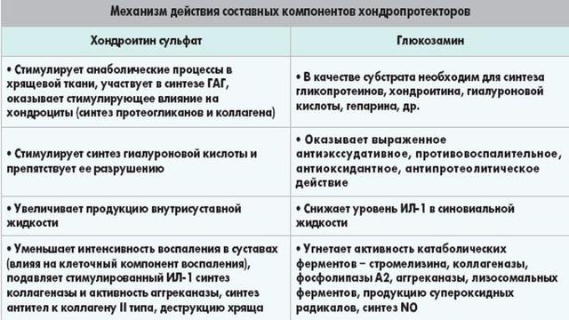 Терафлекс – инструкция по применению: описание и действие средства, аналоги и цена, отзывы о мази и капсулах