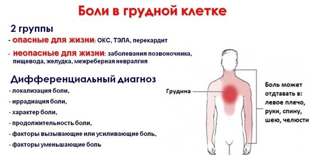 Почему болит грудная клетка посередине: возможный диагноз. Что делать если болит грудная клетка посередине – первая помощь - Автор Екатерина Данилова