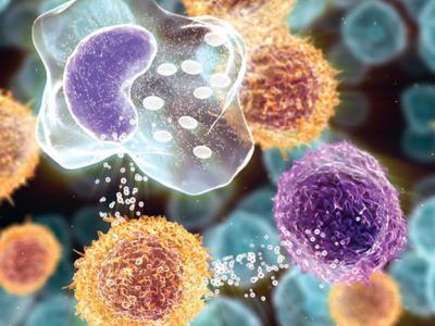 Повышенное СОЭ в крови: что это значит. Причины и симптомы высокого значения СОЭ. Что делать ( отзывы)