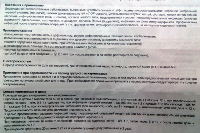 Уколы Цефотаксим детям: инструкция по применению и лучшие аналоги препарата
