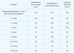 Сколько ударов должно биться сердце в минуту — Сердце