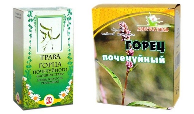 Народные рецепты: Горец почечуйный