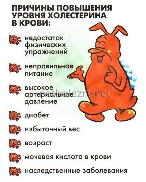 Как снизить высокий холестерин причины и лечение