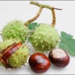 Препараты и народные средства для разжижения крови при варикозе