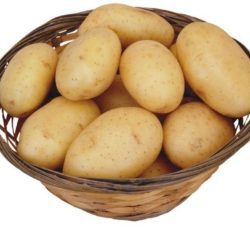 Свечи из картофеля от геморроя: как делать, лечение
