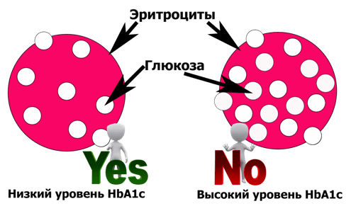 Гемоглобин А1С норма (таблица). Гемоглобин А1С повышен или понижен - что это значит