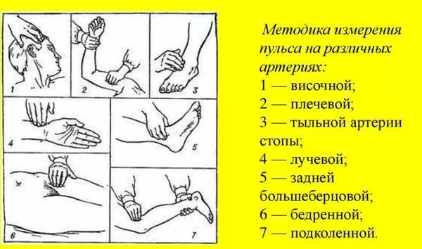 Низкий пульс - причины, что делать