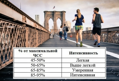 Пульс для сжигания жира калькулятор