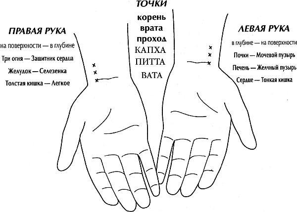 Пульсовая диагностика восточной медицины