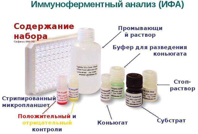 ИФА на сифилис: как проводится анализ